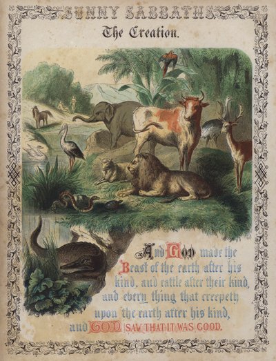 La Creación de English School