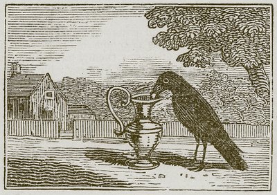 El cuervo y el cántaro (grabado) de English School