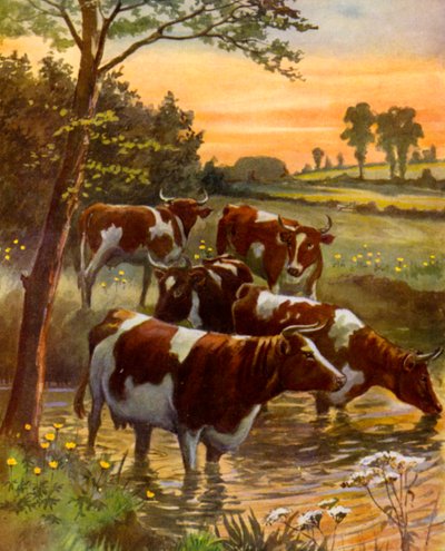 El rebaño del granjero lechero (litografia en color) de English School