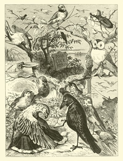 La muerte y el entierro de Cock Robin de English School