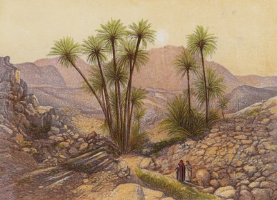 El desierto del Sinaí (litografía en color) de English School