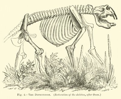 El Diprotodon de English School