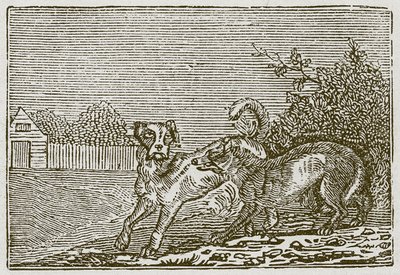El perro y el lobo (grabado) de English School