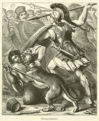 El perro de Maratón de English School