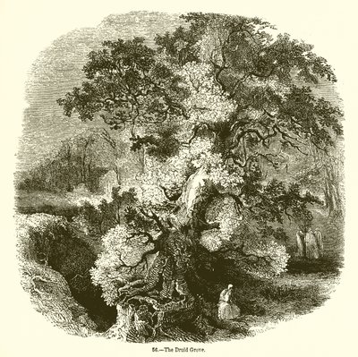 El Bosque de los Druidas de English School