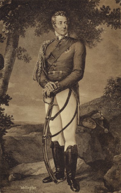 El Duque de Wellington de English School