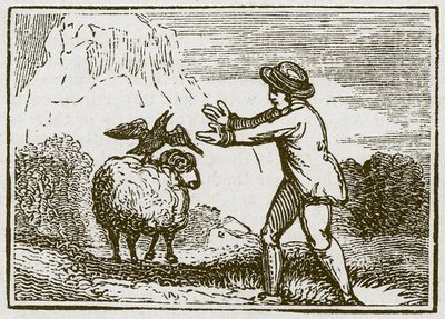 El águila y el cuervo (grabado) de English School