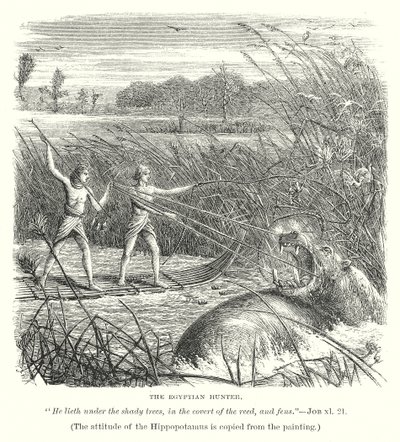 El cazador egipcio (grabado) de English School
