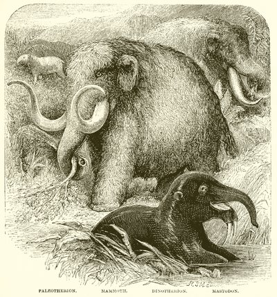 El Elefante de English School