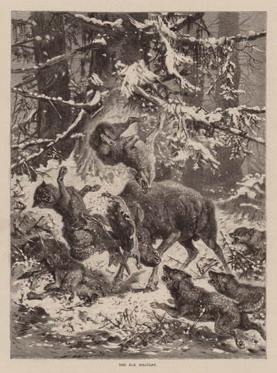 El alce militante (grabado) de English School