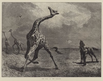 La caída de la jirafa de English School
