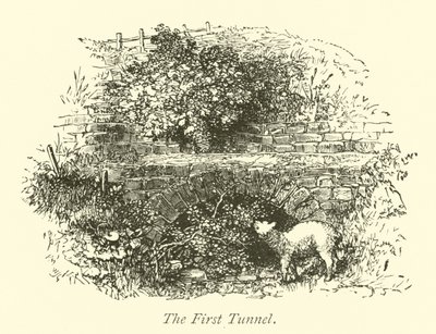 El primer túnel de English School