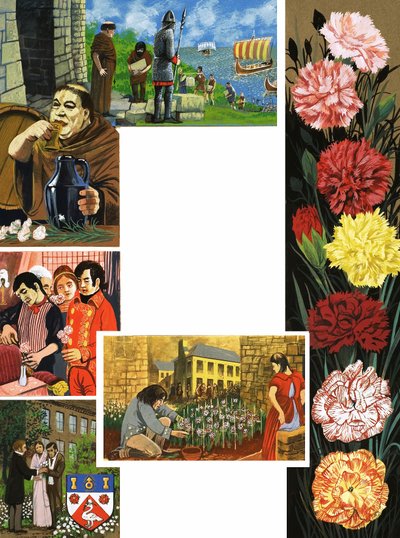 Las Flores que Florecen: Claveles Brillantes de English School