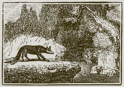 La zorra y el león enfermo (grabado) de English School
