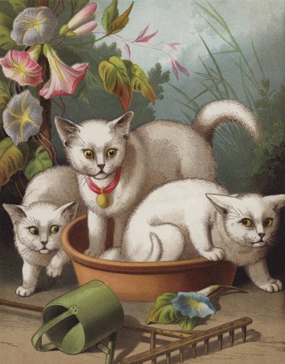 Las gatitas asustadas (chromolitho) de English School