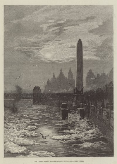 El Támesis Congelado, Gaviotas rodeando el Obelisco de Cleopatra de English School