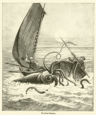 El Pulpo Gigante (grabado) de English School