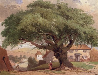 The Great Ash, escena en Surrey (litografia en color) de English School
