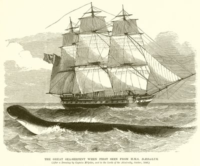 La gran serpiente marina vista por primera vez desde el H.M.S. Daedalus de English School