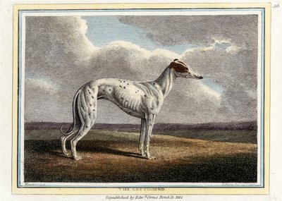 El galgo, pub. 1812 de English School