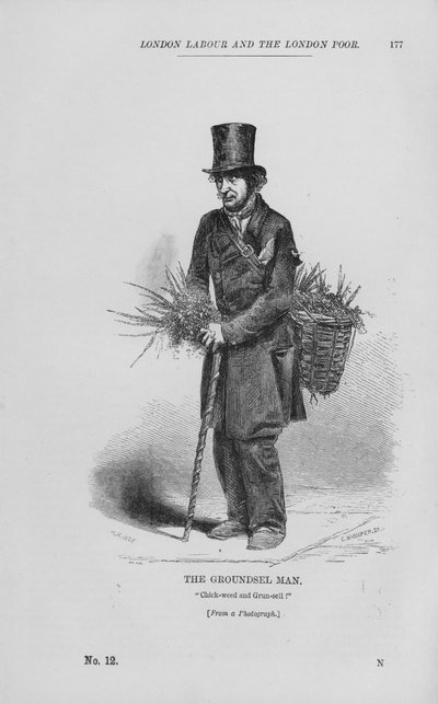 El hombre del alpiste (grabado) de English School