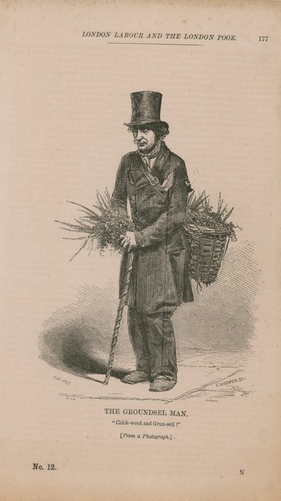 El hombre del césped de English School