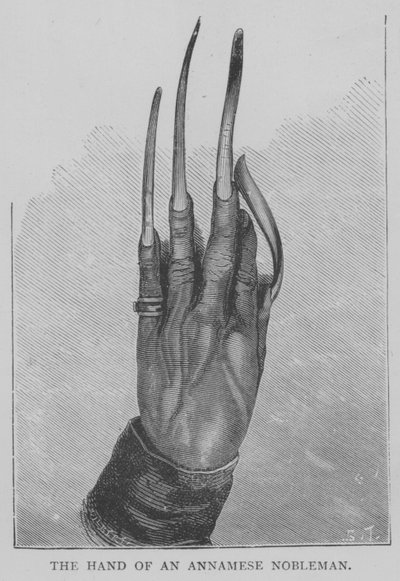 La mano de un noble anamita de English School