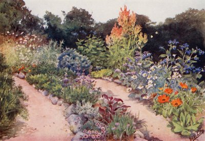 El jardín de hierbas: Bordes de hierbas en junio (litografía en color) de English School