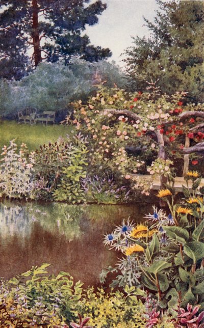 El jardín de hierbas: Hierbas junto al agua (litografía en color) de English School