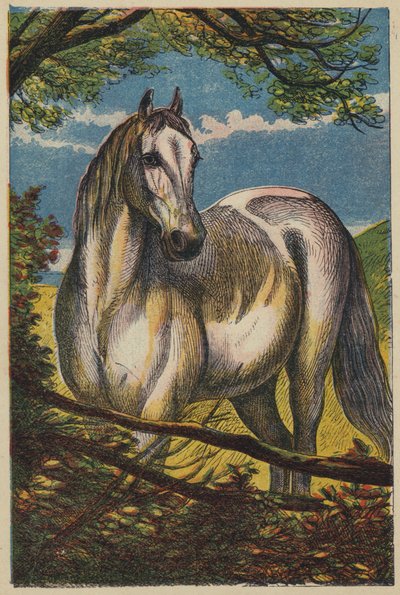 El Caballo de English School