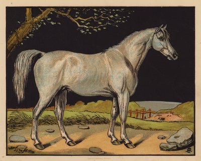 El caballo (litografía en color) de English School