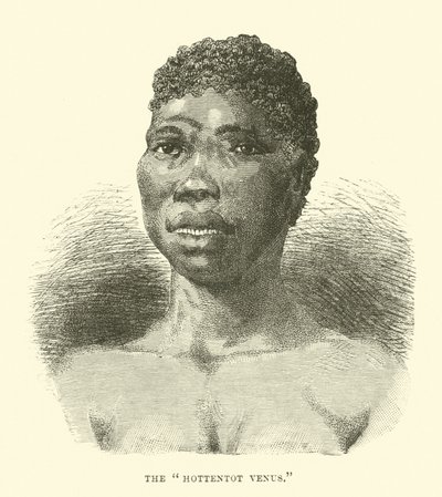 La Venus hotentote de English School