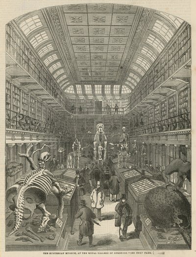 El Museo Hunteriano en el Real Colegio de Cirujanos de English School