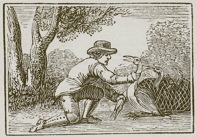 El labrador y la cigüeña (grabado) de English School