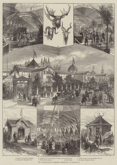 La Exposición Internacional de Silvicultura en Edimburgo (grabado) de English School