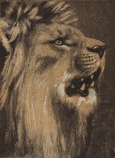 El Rey del Bosque (grabado en color) de English School