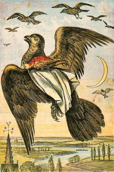 La cometa y el petirrojo de English School