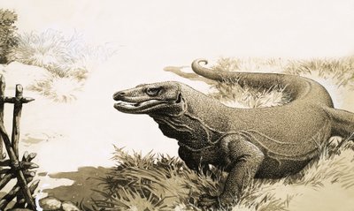 El dragón de Komodo de English School