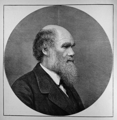 El difunto Sr. C. R. Darwin, FRS, LLD, de The Illustrated London News, 29 de abril de 1882 de English School