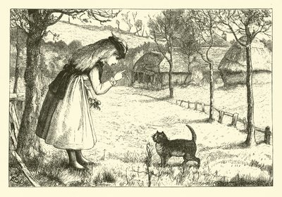 El gato perezoso de English School