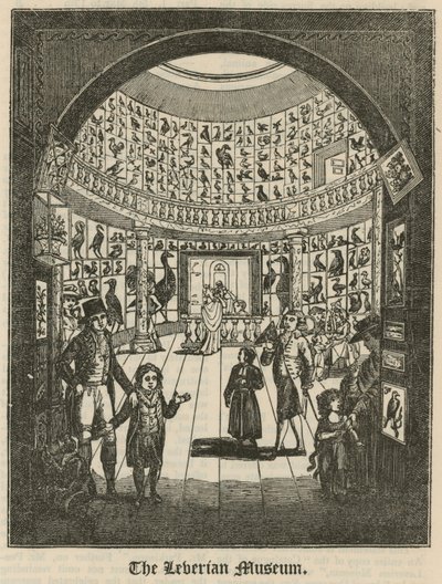 El Museo Leveriano de English School