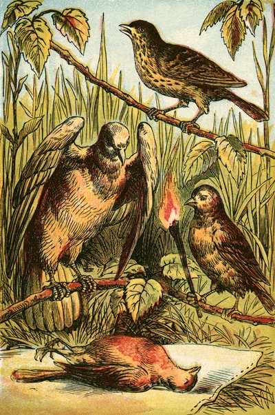 El jilguero, la paloma y el petirrojo de English School