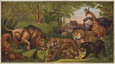 La recepción del león de English School