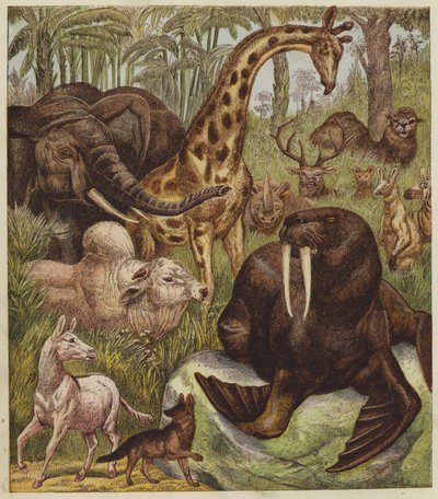 La recepción del león de English School