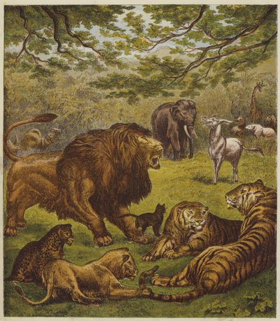 La recepción del León (litografía en color) de English School