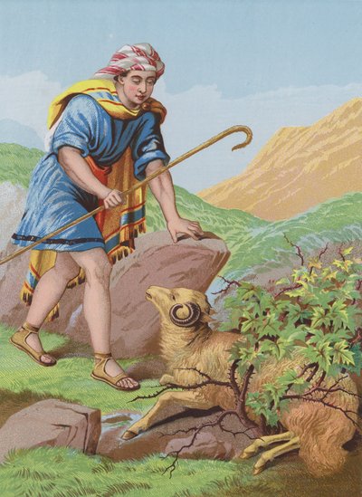 La oveja perdida de English School