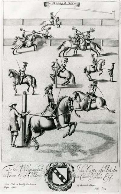 El Caballo Domado, de 