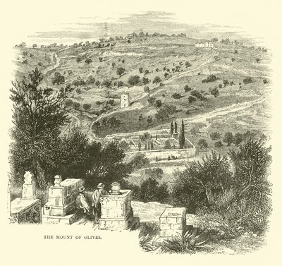 El Monte de los Olivos de English School