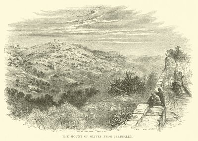 El Monte de los Olivos desde Jerusalén de English School