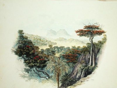 Las montañas, Ceilán de English School
